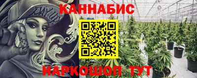 стафф Заводоуковск