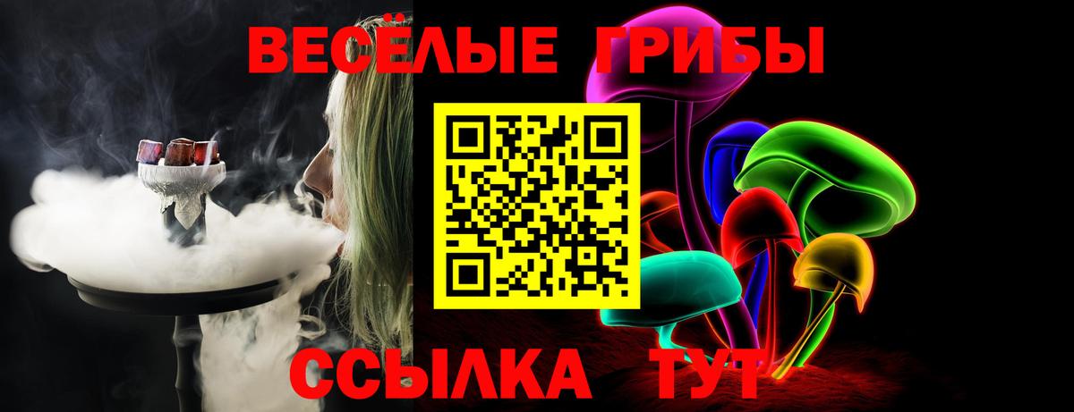 Псилоцибиновые грибы GOLDEN TEACHER  Галлюциногенные грибы прущие грибы  магазин продажи   Вход с VPN  Губкин 